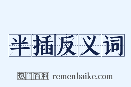 半插反义词是什么意思的图片